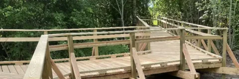 Woodland boardwalk | Foundations