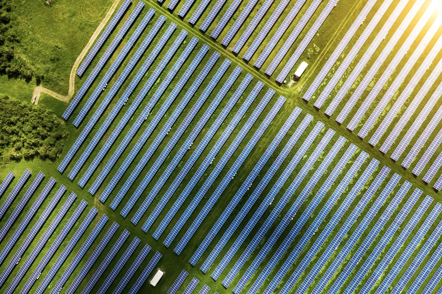 Ground-mounted solar panels | Solar farm | RADIX solar mounting solutions